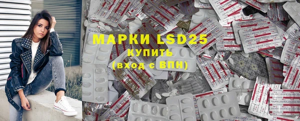 ECSTASY Богданович