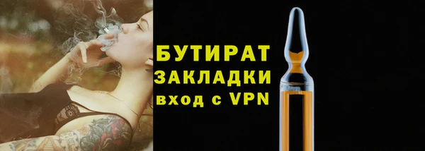 молекула духа Снежногорск