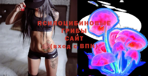 MDMA Premium VHQ Бородино