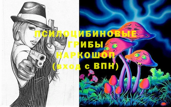 ECSTASY Богданович