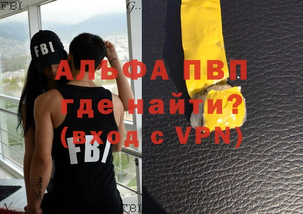 ECSTASY Богданович