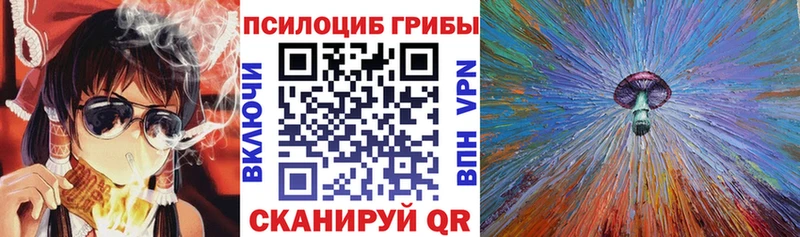 наркотики  МЕГА ТОР  Галлюциногенные грибы мухоморы  Выборг 